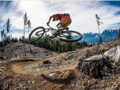 Рюкзак DAKINE Session 16L