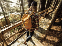 Рюкзак DAKINE Range 24L