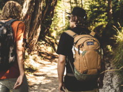 Рюкзак DAKINE Canyon 28L